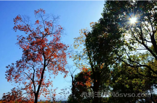 永新：冬色如画