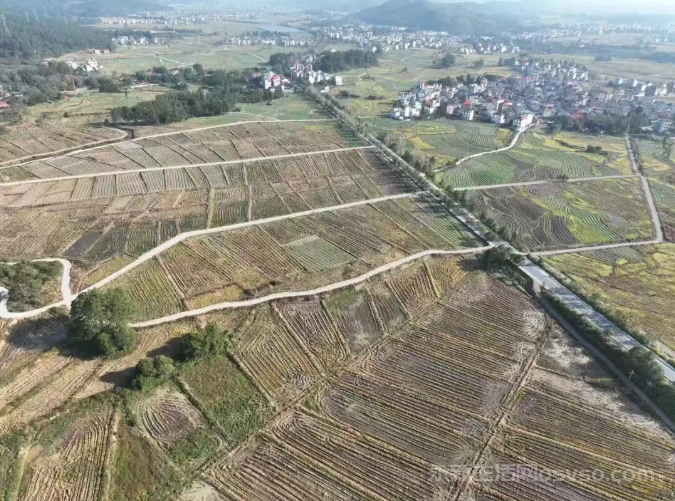 永新县龙源口镇:田成方渠相连焕新颜 强监督重管护固根基