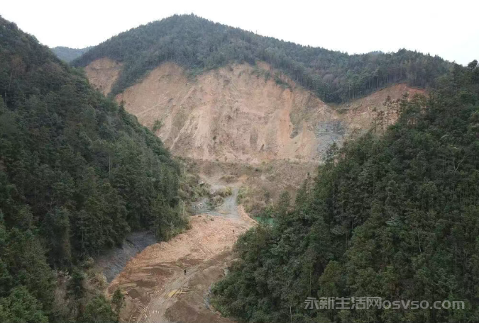 永新:荒山“焕新”记