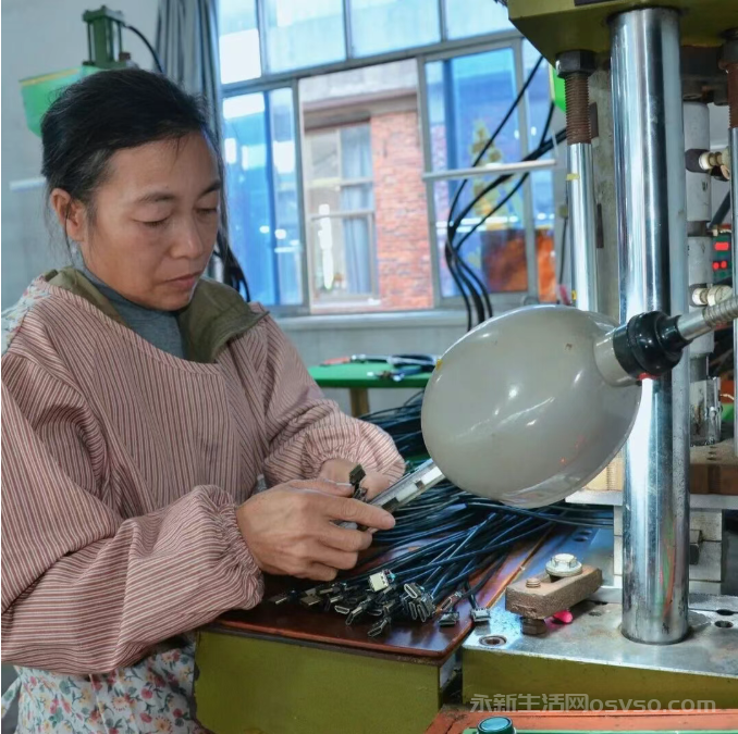 永新:“筑巢引凤” 群众实现“家门口”就业